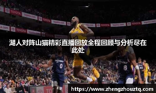 湖人对阵山猫精彩直播回放全程回顾与分析尽在此处