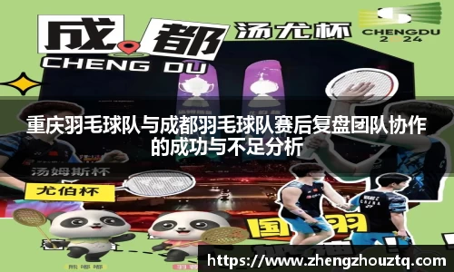 重庆羽毛球队与成都羽毛球队赛后复盘团队协作的成功与不足分析